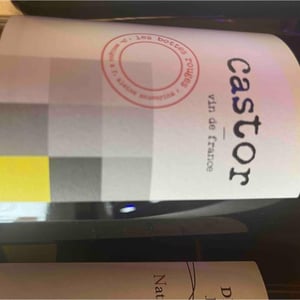 Castor - Les Bottes Rouges - florien-klein-snuverink-jean-baptiste-menigoz