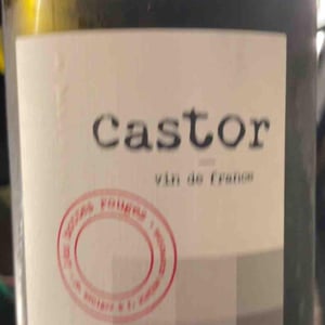 Castor - Les Bottes Rouges - Florien Klein Snuverink & Jean-Baptiste Menigoz 