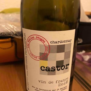 Castor - Les Bottes Rouges - florien-klein-snuverink-jean-baptiste-menigoz
