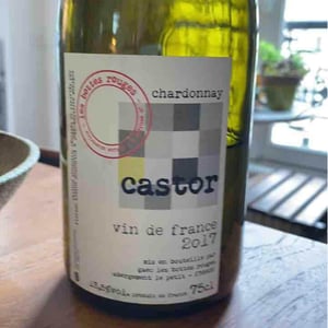 Castor - Les Bottes Rouges - florien-klein-snuverink-jean-baptiste-menigoz