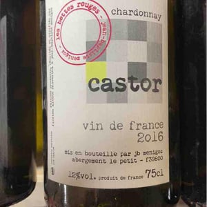 Castor - Les Bottes Rouges - florien-klein-snuverink-jean-baptiste-menigoz