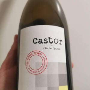 Castor - Les Bottes Rouges - florien-klein-snuverink-jean-baptiste-menigoz