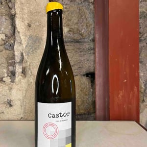 Castor - Les Bottes Rouges - florien-klein-snuverink-jean-baptiste-menigoz