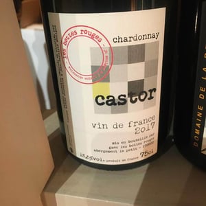Castor - Les Bottes Rouges - florien-klein-snuverink-jean-baptiste-menigoz