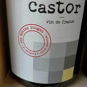 Castor - Les Bottes Rouges - Florien Klein Snuverink & Jean-Baptiste Menigoz 