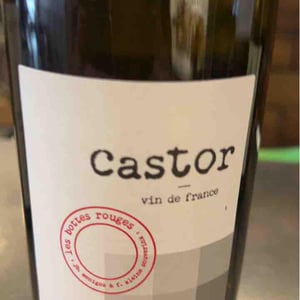 Castor - Les Bottes Rouges - florien-klein-snuverink-jean-baptiste-menigoz