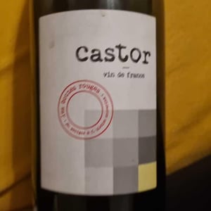 Castor