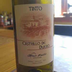 Castrillo de Duero - Bodegas y Viñedos Maestro Tejero - alfredo-maestro-tejero