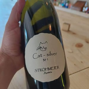 Cat-Silver N°1 - Strohmeier - Franz Strohmeier 