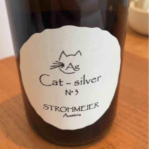 Cat-Silver N°1 - Strohmeier - franz-strohmeier