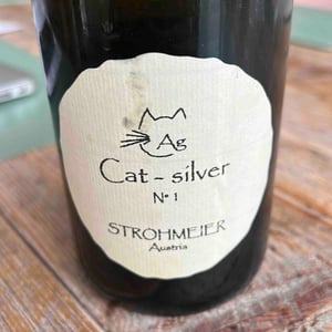 Cat-Silver N°1 - Strohmeier - Franz Strohmeier 