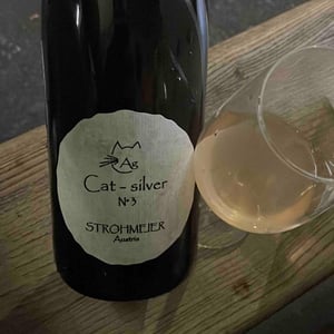 Cat-Silver N°3 - Strohmeier - Franz Strohmeier -2021