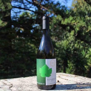 Catarratto 2017 - Agricola VIRÀ - vincenzo-rappa-ml