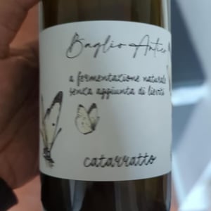 Catarratto - Cantina Rallo - andrea-vesco