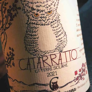 Catarratto - Azienda Agricola Calogero Caruana - calogero-caruana -2021