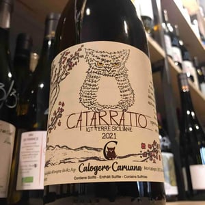 Catarratto - Azienda Agricola Calogero Caruana - calogero-caruana -2021