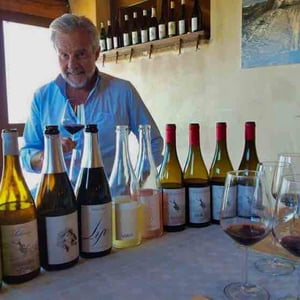 Azienda Agricola Porta del Vento - Marco Sferlazzo - Catarratto