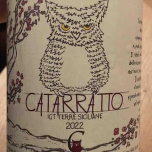 Catarratto - Azienda Agricola Calogero Caruana - Calogero Caruana -2021
