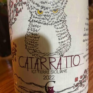 Catarratto 2022