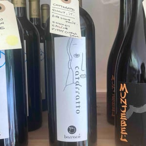 Catarratto - Vini Barraco - antonino-barraco