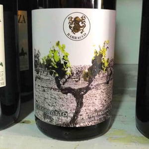 Catarratto - Vini Barraco - antonino-barraco