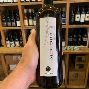 Catarratto - Vini Barraco - antonino-barraco