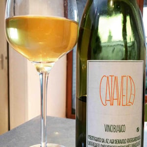 Catavela - Azienda Agricola Denavolo - Giulio Armani 