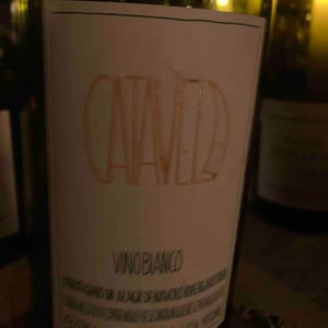 Catavela - Azienda Agricola Denavolo - giulio-armani
