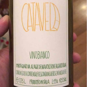 Azienda Agricola Denavolo - Giulio Armani - Catavela