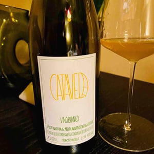 Azienda Agricola Denavolo - Giulio Armani - Catavela