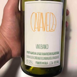 Azienda Agricola Denavolo - Giulio Armani - Catavela