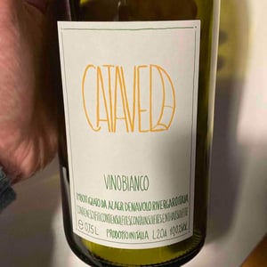 Azienda Agricola Denavolo - Giulio Armani - Catavela