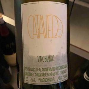 Catavela - Azienda Agricola Denavolo - giulio-armani