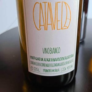 Catavela - Azienda Agricola Denavolo - giulio-armani