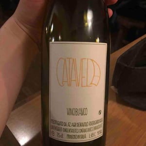 Azienda Agricola Denavolo - Giulio Armani - Catavela
