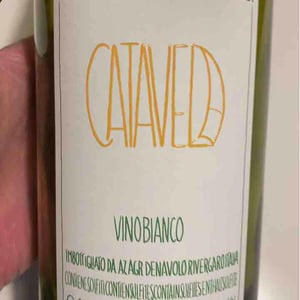 Azienda Agricola Denavolo - Giulio Armani - Catavela