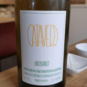 Catavela - Azienda Agricola Denavolo - giulio-armani