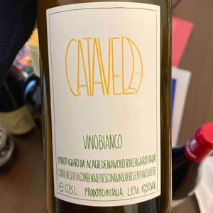 Azienda Agricola Denavolo - Giulio Armani - Catavela