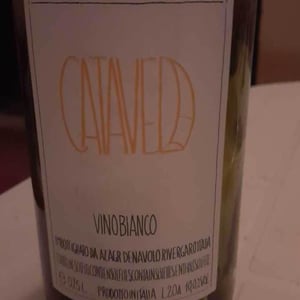 Catavela - Azienda Agricola Denavolo - giulio-armani