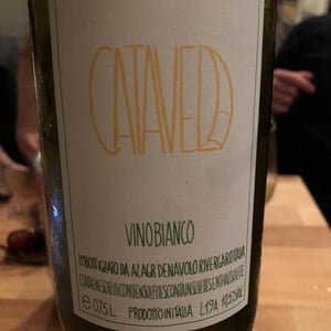 Catavela - Azienda Agricola Denavolo - giulio-armani