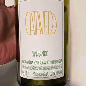 Azienda Agricola Denavolo - Giulio Armani - Catavela