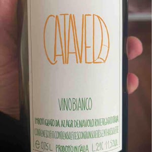 Azienda Agricola Denavolo - Giulio Armani - Catavela