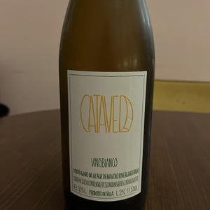 Catavela - Azienda Agricola Denavolo - giulio-armani