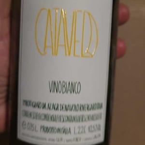 Catavela