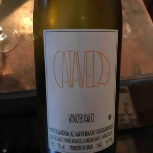 Azienda Agricola Denavolo - Giulio Armani - Catavela