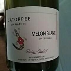 Domaine de la Tourlaudière - Romain Petiteau - Catorpee Blanc