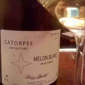 Catorpee Blanc - Domaine de la Tourlaudière - romain-petiteau