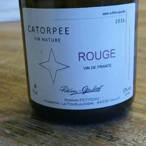 Catorpee Blanc - Domaine de la Tourlaudière - romain-petiteau