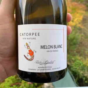 Catorpee Blanc - Domaine de la Tourlaudière - romain-petiteau