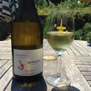 Catorpee Blanc - Domaine de la Tourlaudière - Romain Petiteau 